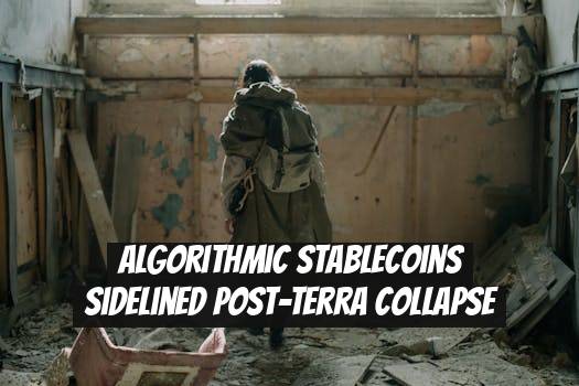 Algorithmic stablecoins sidelined post-Terra collapse