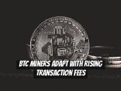 BTC Miners Adapt with Rising Transaction Fees