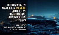 Bitcoin Whales Wake From 13-Year Slumber as Institutional Accumulation Peaks