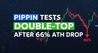PIPPIN tests double top after 66% ATH drop