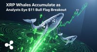 XRP Whales Accumulate as Analysts Eye $11 Bull Flag Breakout