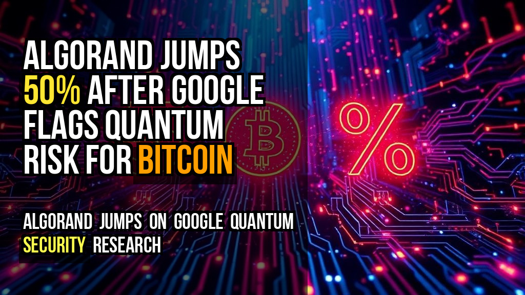 Algorand jumps 50% after Google flags quantum risk for Bitcoin