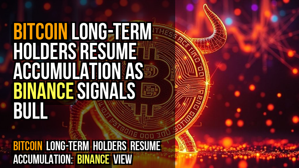 Bitcoin long-term holders resume accumulation as Binance signals bull