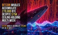 Bitcoin Whales Accumulate 270,000 BTC Despite $75K Ceiling Holding Multi-Week