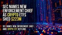 SEC Names New Enforcement Chief as Crypto ETFs Shed $223M