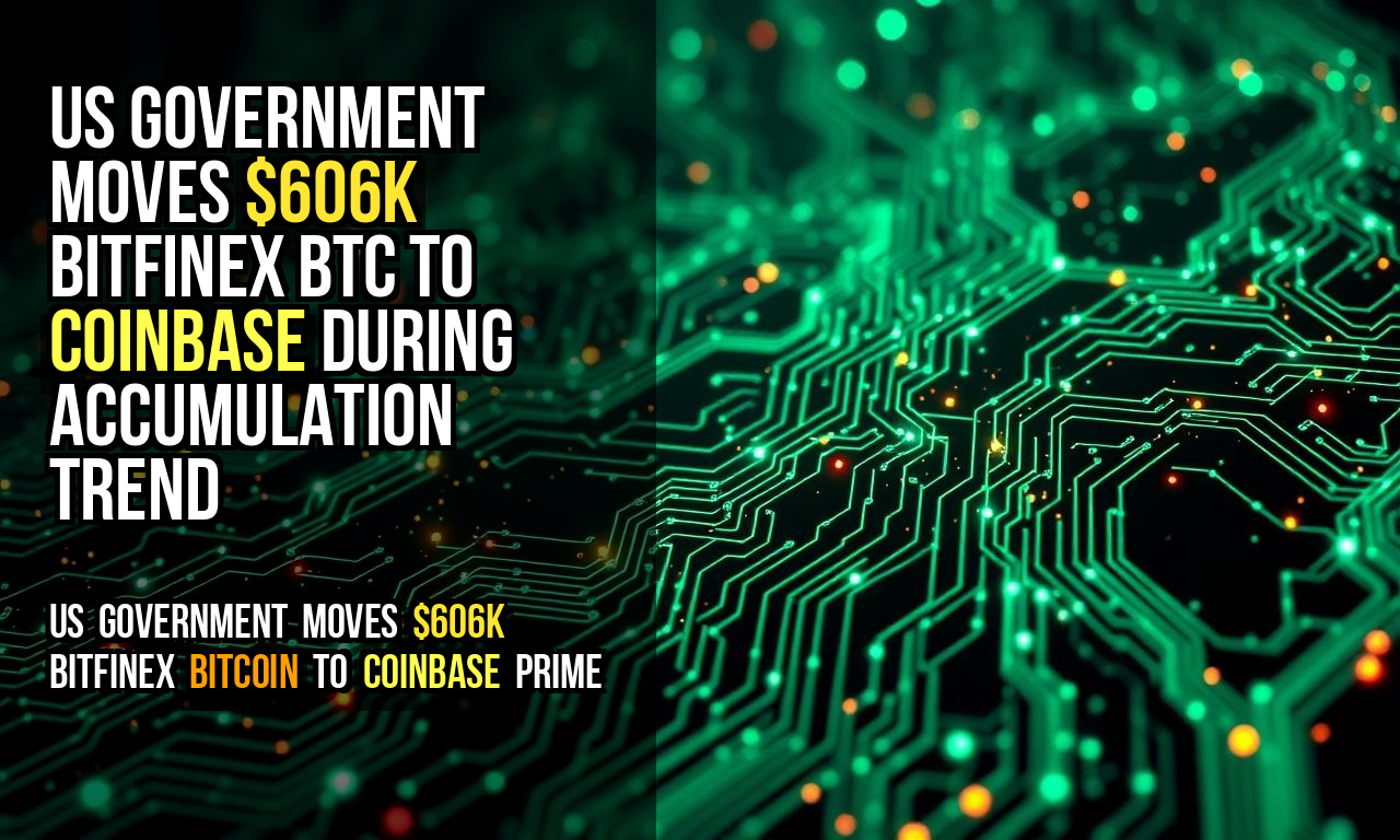 US Government Moves $606K Bitfinex BTC to Coinbase During Accumulation Trend