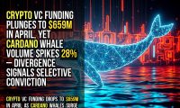 Crypto VC funding plunges to $659M in April, yet Cardano whale volume spikes 28% – divergence signals selective conviction