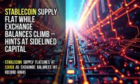 Stablecoin supply flat while exchange balances climb – hints at sidelined capital