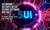 Sui mainnet restarts after second software bug halt