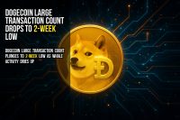 Dogecoin large transaction count drops to 2-week low