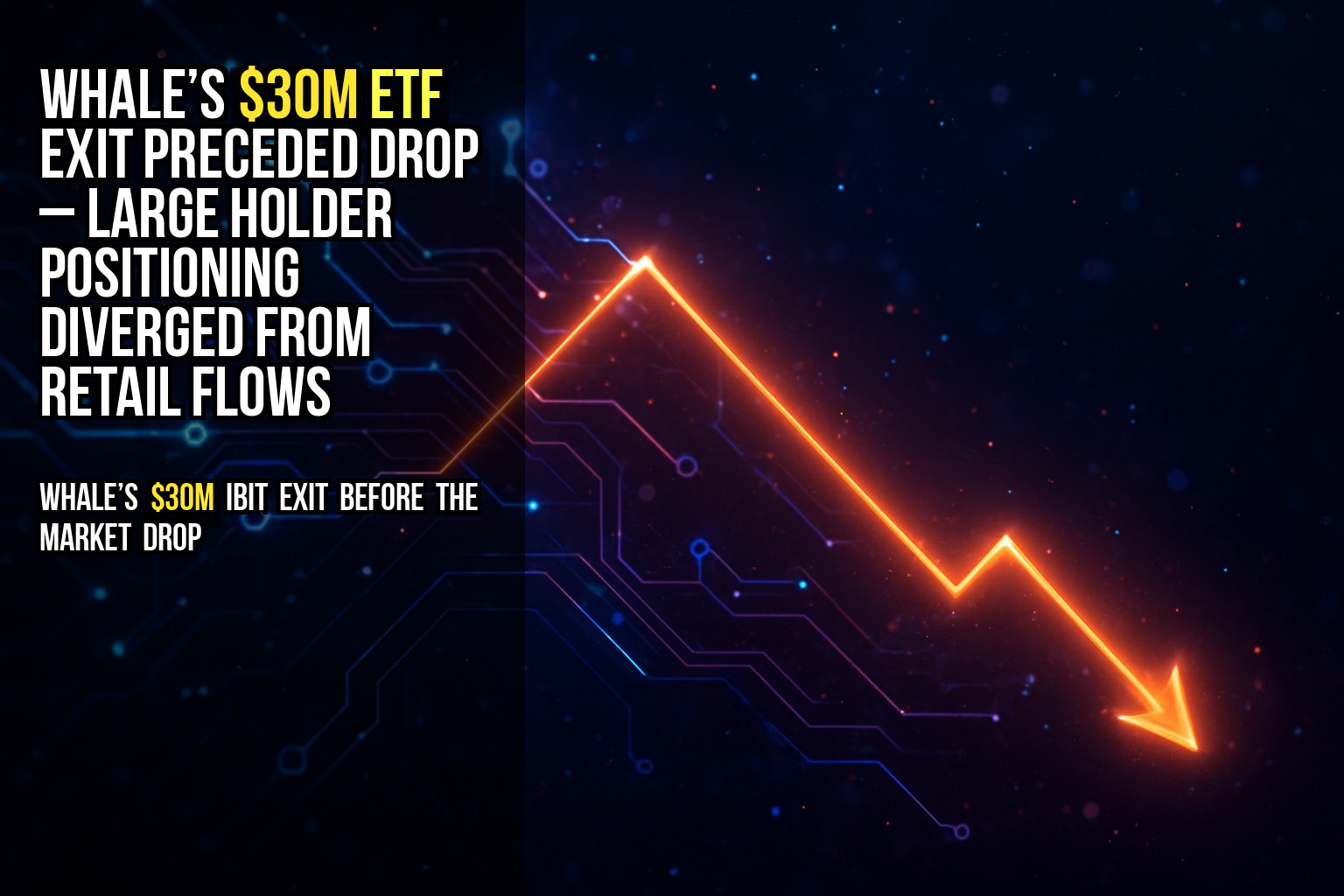 Whale’s $30M ETF exit preceded drop – large holder positioning diverged from retail flows