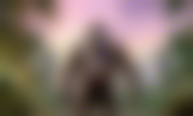 $4 million voted by crypto investors to launch an APE-themed hotel in Bangkok ?