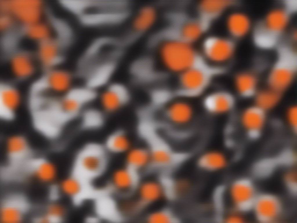 Monero P2P Trading Platform LocalMonero Closes ??