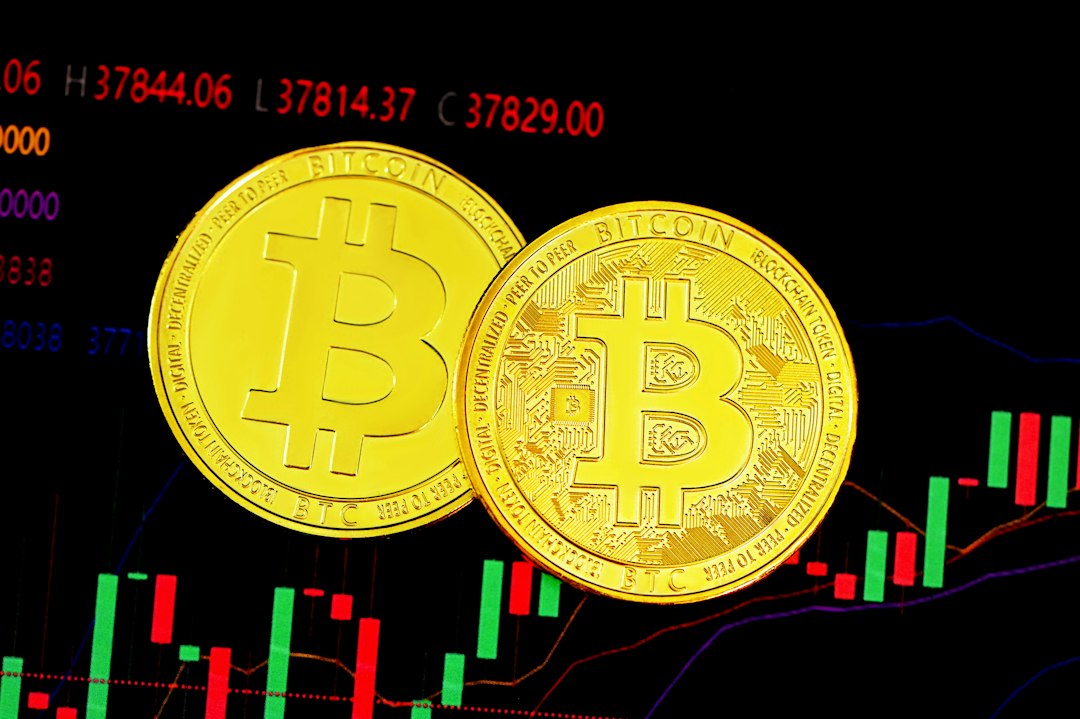 Surge in Bitcoin’s $100,000 Transactions: Is Whale Watching the Next Big Thing?