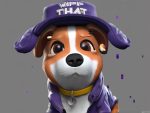 Dogwifhat Price Analysis: WIF to Hit $5 Soon! 🚀