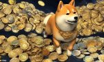 🚀 Shiba Inu (SHIB) Metrics Soar, Bitcoin (BTC) Hits $70K ATH! 🔥