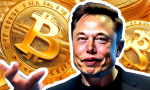 'Special' hashtags on Twitter are axed by Elon Musk, Bitcoin trend ends 😮