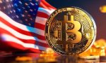 Bitcoin price predicted to reach $100,000 after USA elections! 📈💰