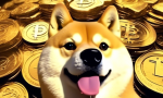 Dogecoin Projected to Surge 3,600% to $3.7, Insights Shared 🌟🚀