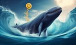 Confidence is Signaled by Bitcoin Whales as Positive Inflows Persist 🌊🪙