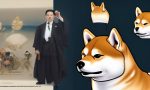 Major Decline in Shiba Inu Whale Transactions Reported 🐾📉