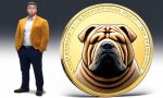 Epic 96% Crash of Shar Pei Meme Coin Shocked Crypto World 🚀💔