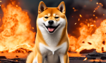 Dramatic 24,271% Surge in Shiba Inu Burn Rate Recorded 🚀🔥