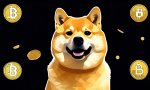 Excitement Generated as Dogecoin Price Predicted to Hit $23 🚀💰