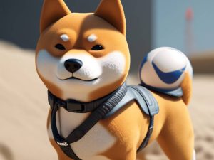 Shiba Inu accepted for Nike, PS5, and Airbnb bookings! 🚀🐕