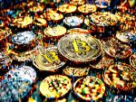 Top crypto tokens trending today despite Bitcoin price drop! 📈😱
