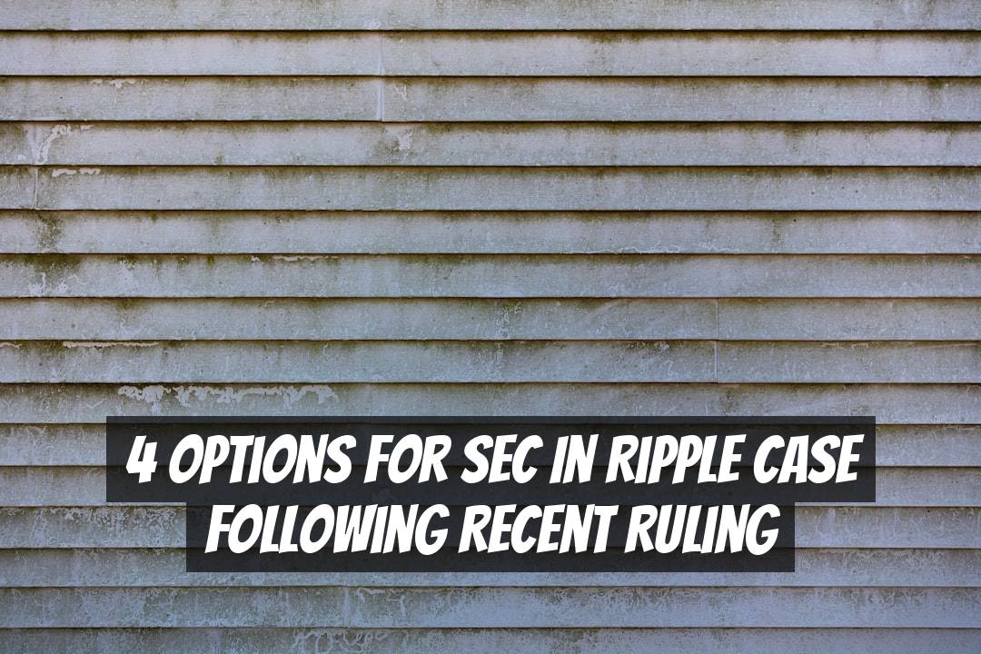 4 Options for SEC in Ripple Case Following Recent Ruling