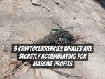 5 Cryptocurrencies Whales Are Secretly Accumulating for Massive Profits