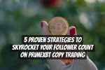 5 Proven Strategies to Skyrocket Your Follower Count on PrimeXBT Copy Trading
