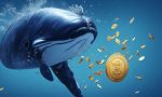 XRP Whales Dump 43 Mln Token Amid SEC's Deadline Extension! 🐳 What's Next?