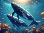 Whales' Cautious Strategies Boost Bitcoin Options to $500m 🐋📈