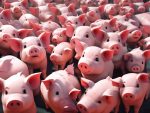 Chinese nationals face charges for laundering $73M in 'Pig Butchering' scam 🐷🔒