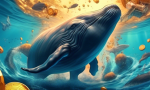 'Unprecedented Level' of Bitcoin Accumulated by Whales After 358,000 BTC Added in Month 🐋