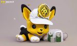 Binance WIF Hat Sends Dogwifhat Price 🚀 25% Higher, Setting New ATH 🌟
