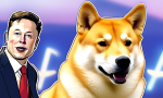 $258 Billion Dogecoin Lawsuit against Tesla, Musk Dismissed by Federal Judge, Dogecoin supporters 🚀