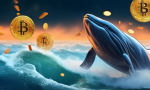 $1.62 Billion Worth of BTC Scooped Up by Bitcoin Whales in Two Days After Massive Price Drop 😱