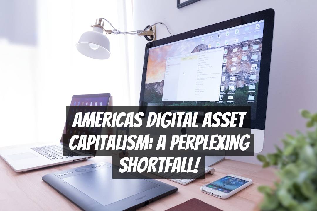 Americas Digital Asset Capitalism: A Perplexing Shortfall!