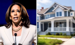 Renowned Economist Professor Steve Hankle Claims Kamala Harris's Plan to Give $25,000 to First-Time Homebuyers is Considered Theft 😱