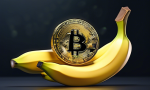 New perpetual contract with 50x leverage for USDⓈ-M BANANA to be launched by Binance Futures 🍌.