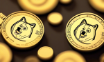 A potential pump in the Dogecoin price could be seen from here. 📈