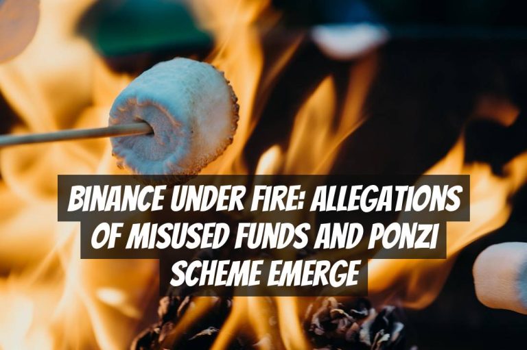 Binance Under Fire: Allegations of Misused Funds and Ponzi Scheme Emerge