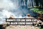 Binances 11th LUNC Burn: 2.65 Billion Tokens Vanish
