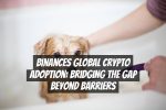 Binances Global Crypto Adoption: Bridging the Gap Beyond Barriers