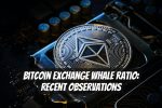 Bitcoin Exchange Whale Ratio: Recent Observations