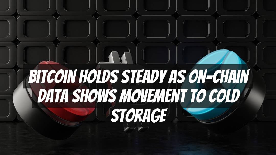 Bitcoin Holds Steady as On-Chain Data Shows Movement to Cold Storage