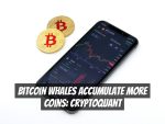 Bitcoin Whales Accumulate More Coins: CryptoQuant